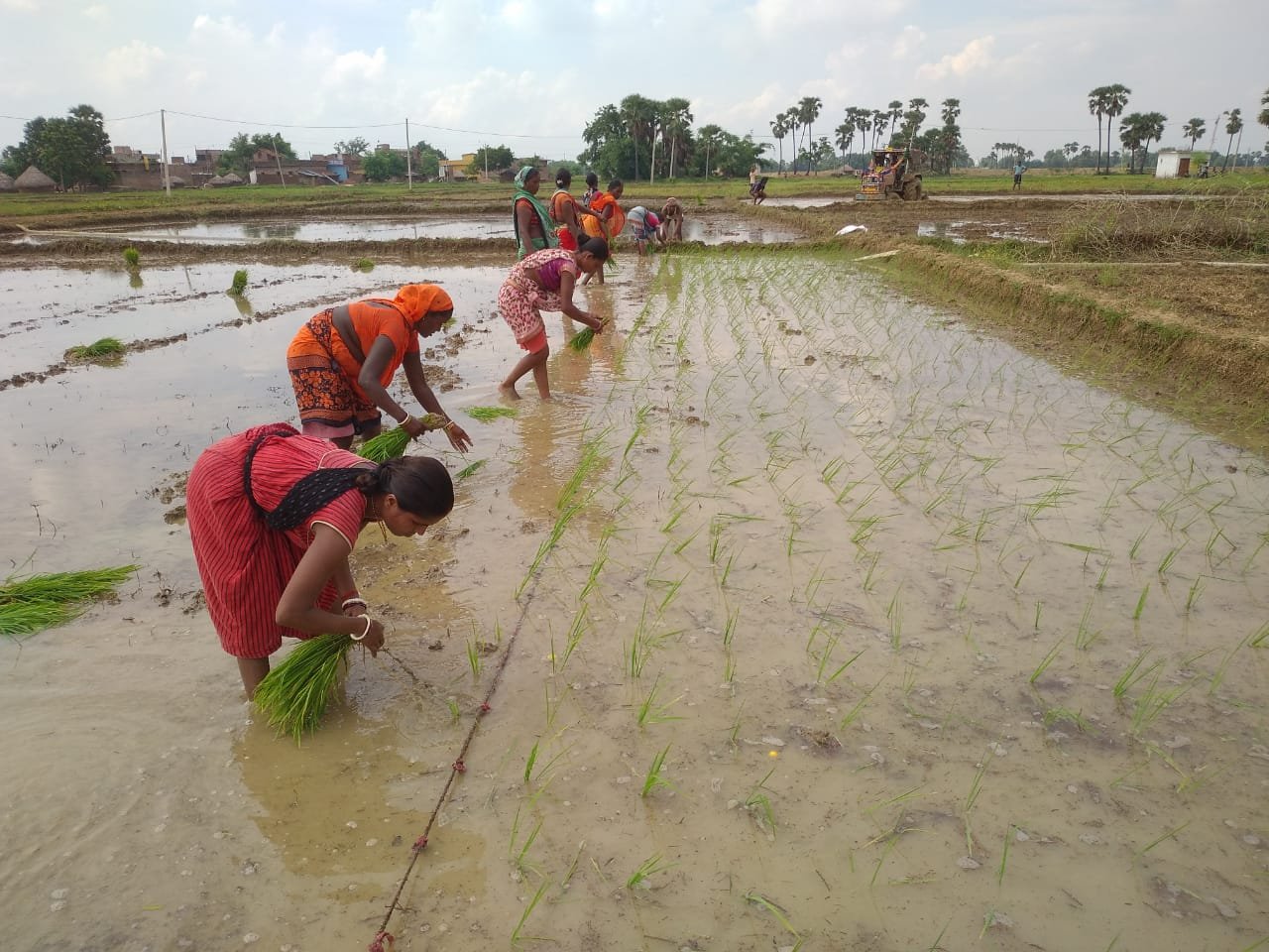 Agriculture